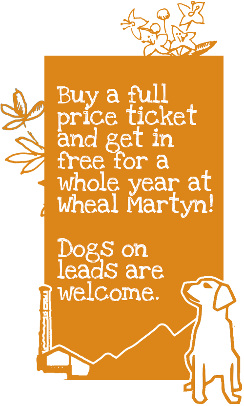 Dogs Welcome, Wheal Martyn Museum, Cornwall Admission - Illustration (502x949), Png Download