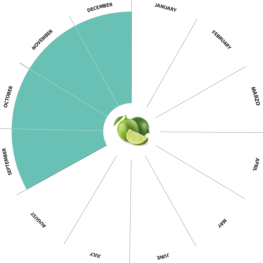 Bio Limes Production Calendar - Circle (1000x1000), Png Download