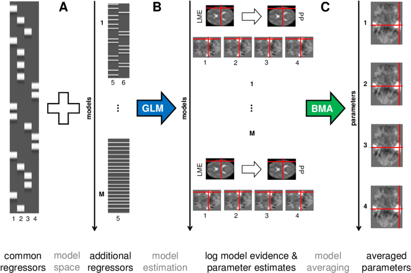 Model Averaging For General Linear Models In Fmri Data - Fmri Glm (850x589), Png Download