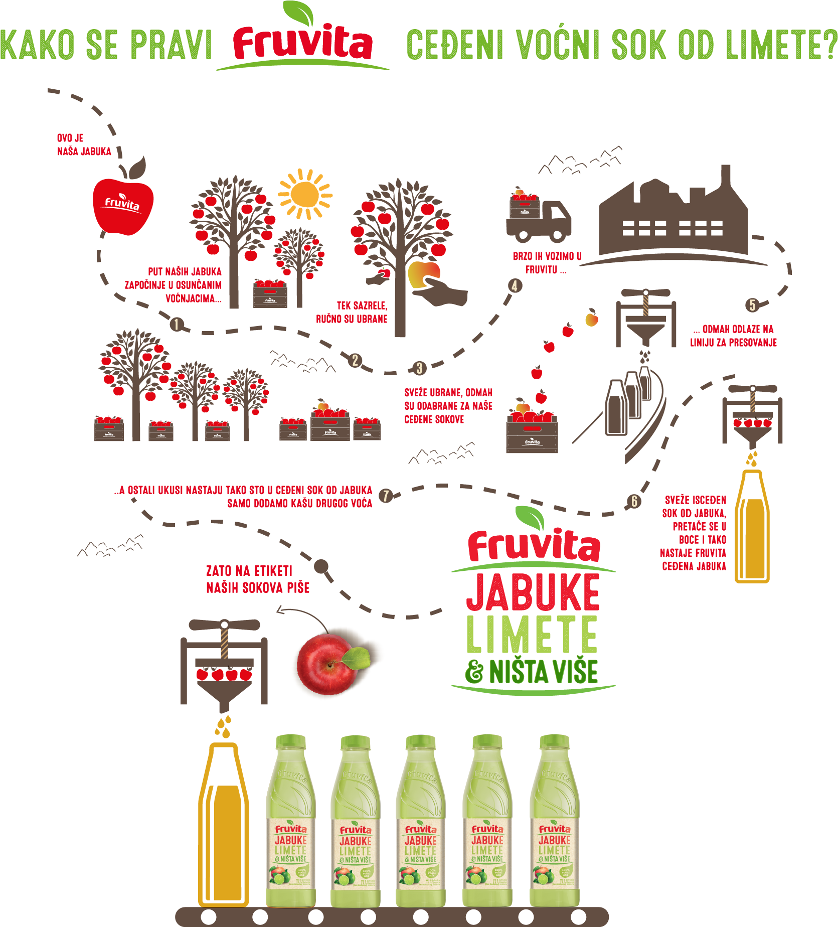 Apples, Limes & Nothing Else (1679x1847), Png Download