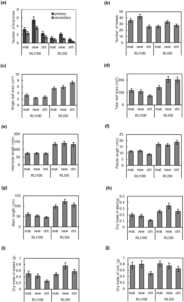 Oprimary Dsecondary 40 으30 10 Mat - Illustration (629x1024), Png Download