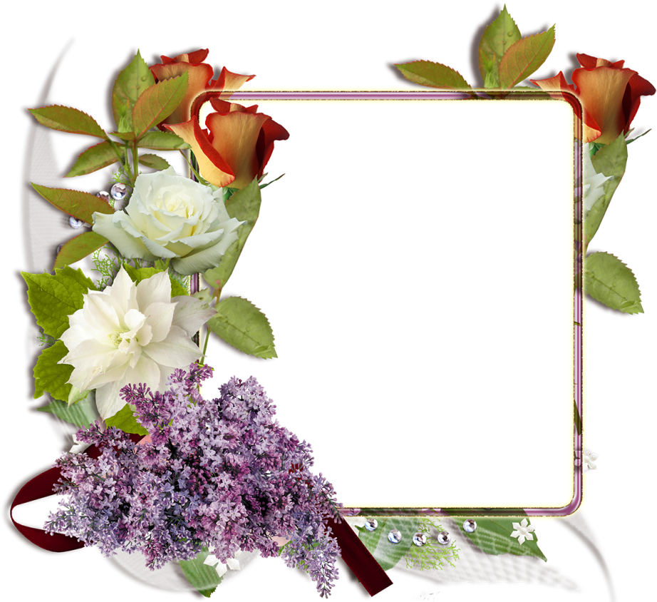 Fotomontaje Con Rosas Blancas Y Rojas - Descargar Marcos (1024x845), Png Download