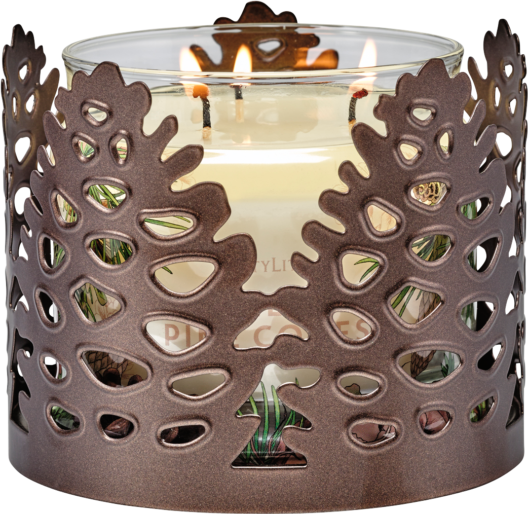 Fh18 P93190 A Web - Partylite Pine Cone Jar Shade (1200x1200), Png Download
