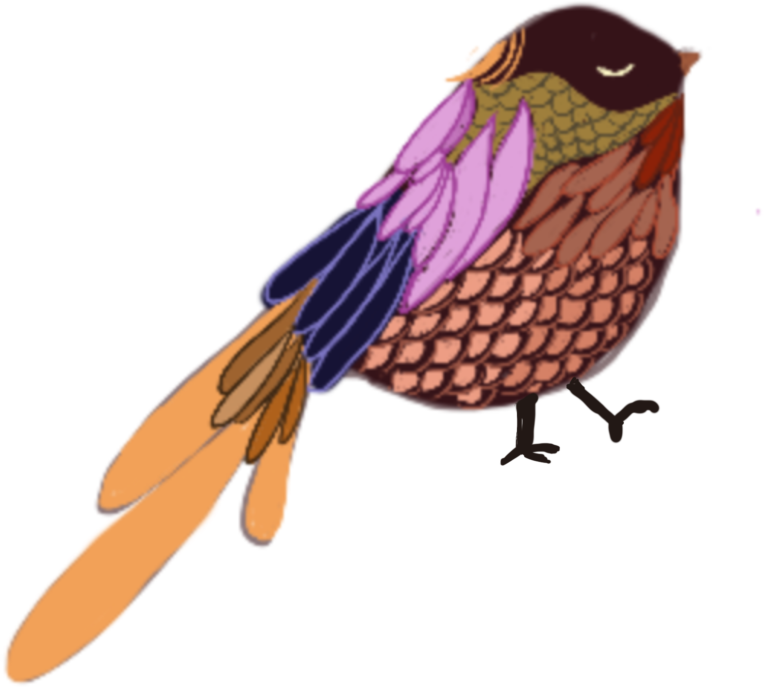 Colored Feathers Demi (2480x3508), Png Download