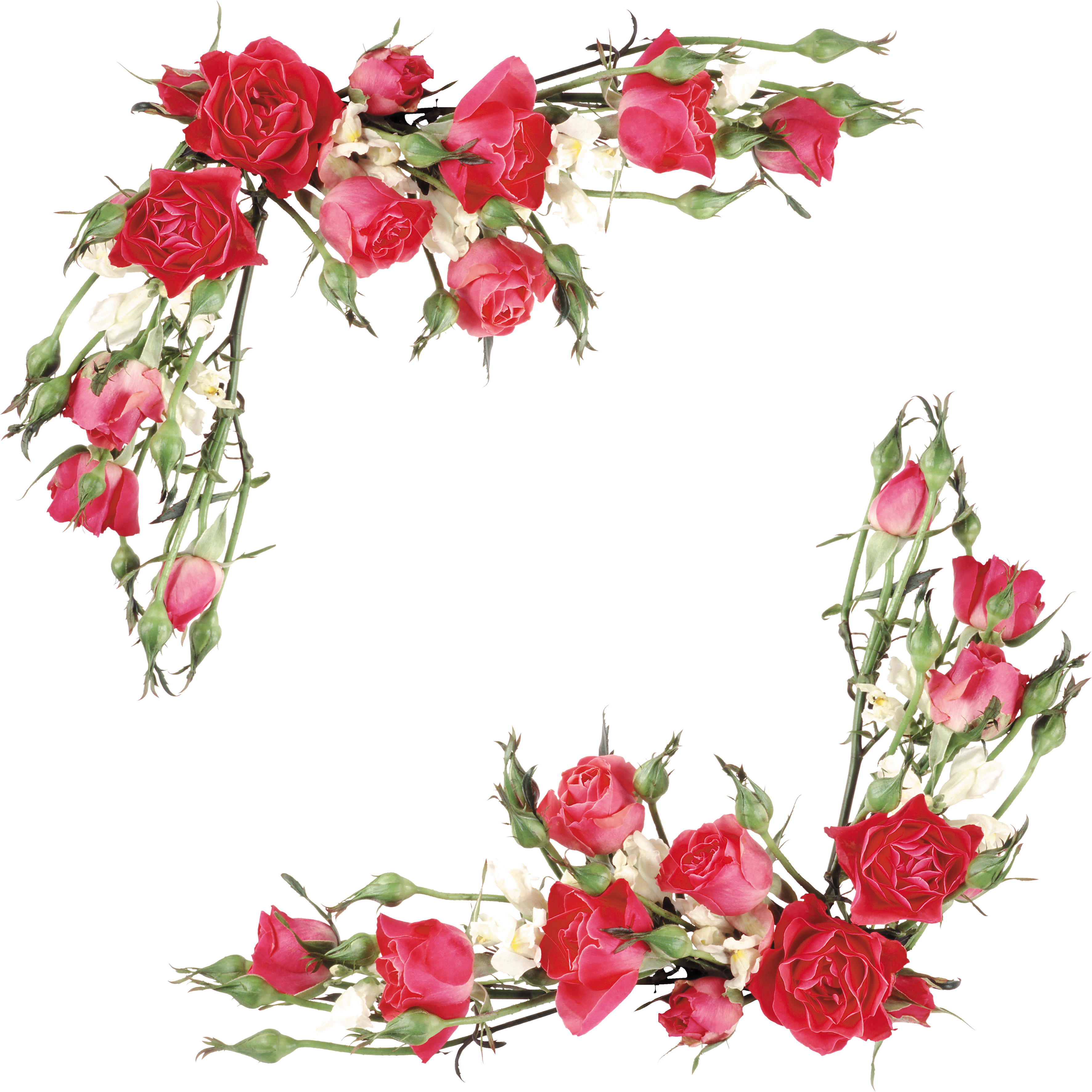 Flower Bouquet Euclidean Transprent Png Free Download (3543x3543), Png Download