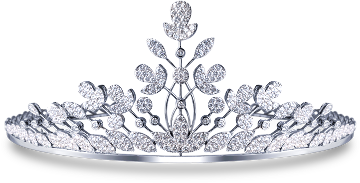 Filter - Tiara (800x800), Png Download
