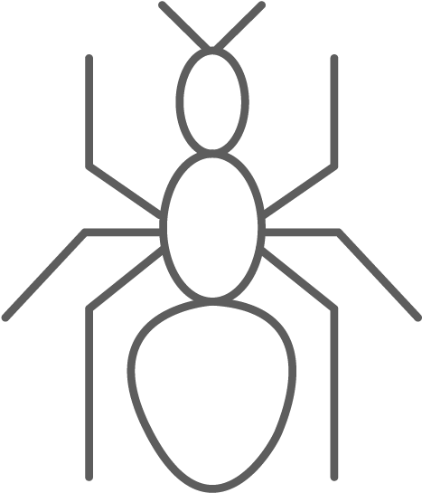 Hormigas Invasoras - - Circle (591x591), Png Download