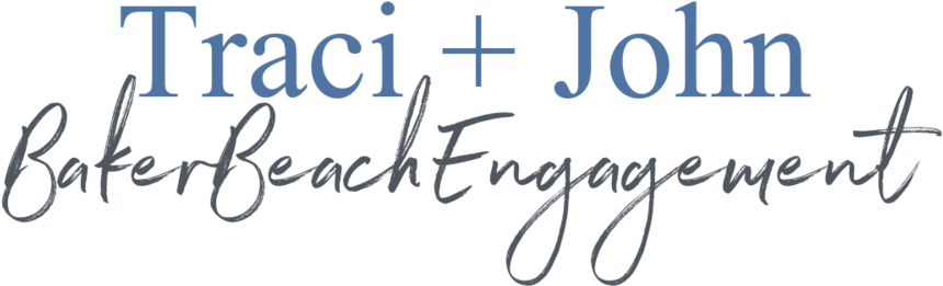 Traci John Engagement - Kracie (1000x375), Png Download