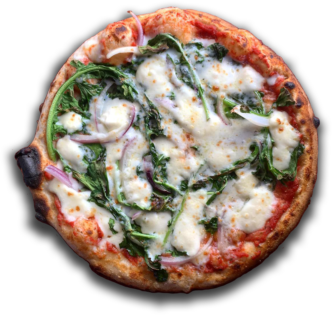 Mobile Wood Fired Pizza & Bagels - California-style Pizza (1184x1184), Png Download