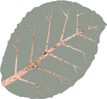 #plant #plants #leaf #leaves #floral #decor #decoration - Circle (604x640), Png Download
