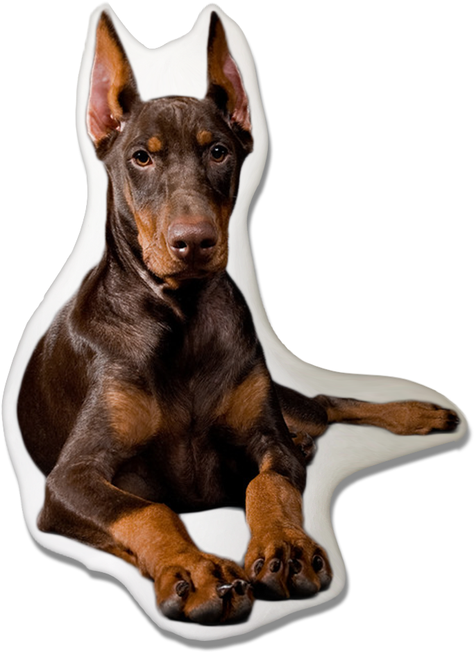 Doberman Pinscher Dog Pillow - Black And Ginger Dog (1000x1333), Png Download
