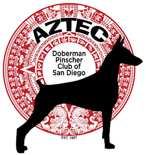 Aztec Doberman Pinscher Club - Venchi (1200x400), Png Download