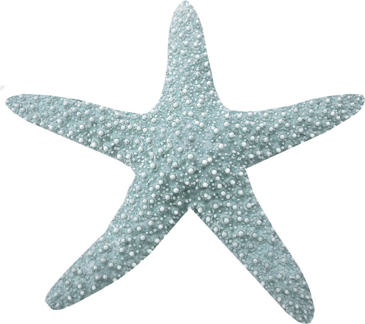 Фото, Автор Arana На Яндекс - Estrella Del Mar Png (1200x1096), Png Download
