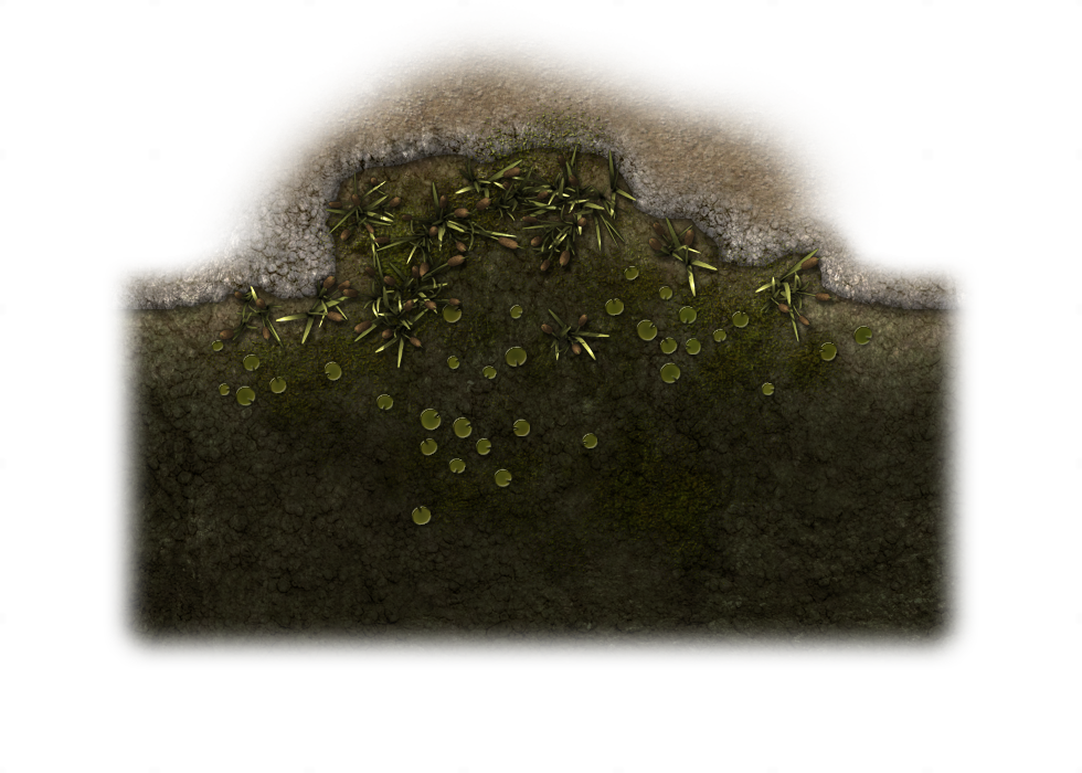 114358-vtwm Swamp 13 - Moss (980x700), Png Download