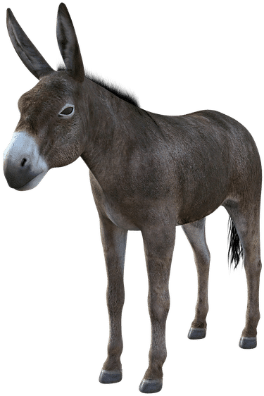 You Might Be A Democrat Barry Bebart - Burro (640x640), Png Download