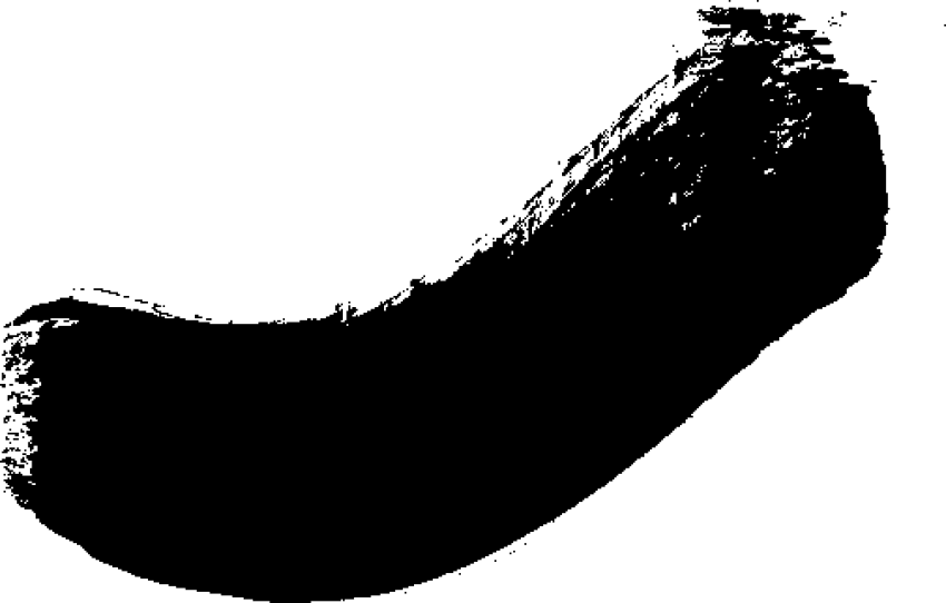 Free Png Download Brush Strok Png Images Background - Illustration (850x542), Png Download