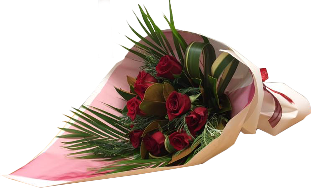 Giant Protea (1000x1000), Png Download