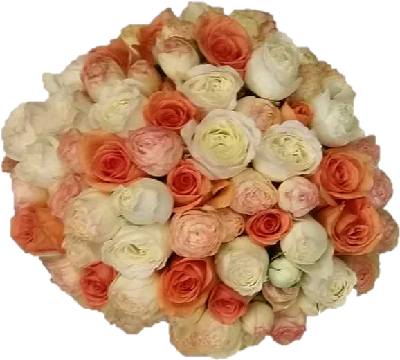 Roses & Babies Breath Bride & 2 Bridesmaids The Lilac - Floribunda (750x735), Png Download