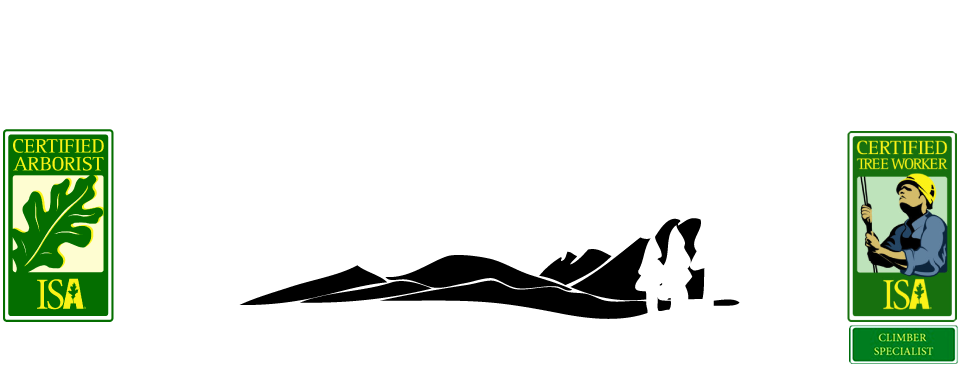 Skyline Tree Service Mammoth Lakes - Isa Certified Arborist (960x370), Png Download