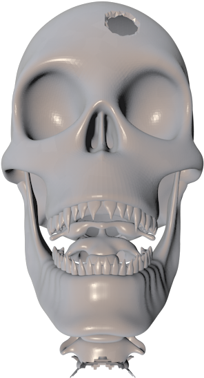 Skull (800x600), Png Download