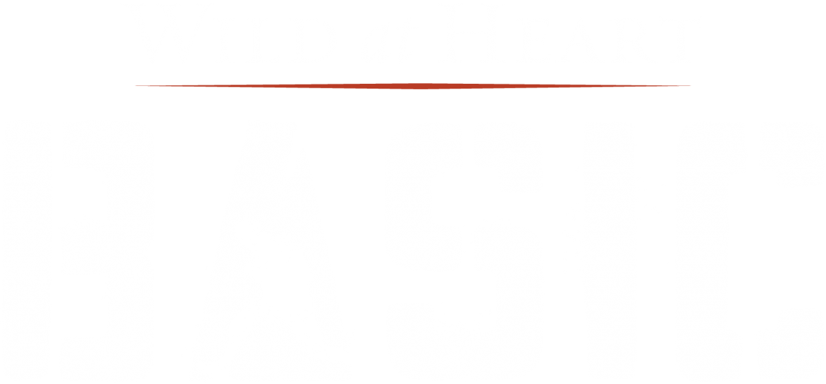 Wild At Heart Boot Camp - Wild At Heart Bible Study (1200x559), Png Download