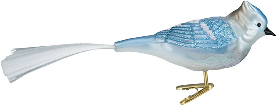 Click - Blue Jay (1000x1000), Png Download