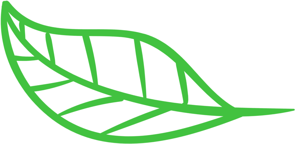 Ronald Powell › Web Leaf Logo (1080x1080), Png Download