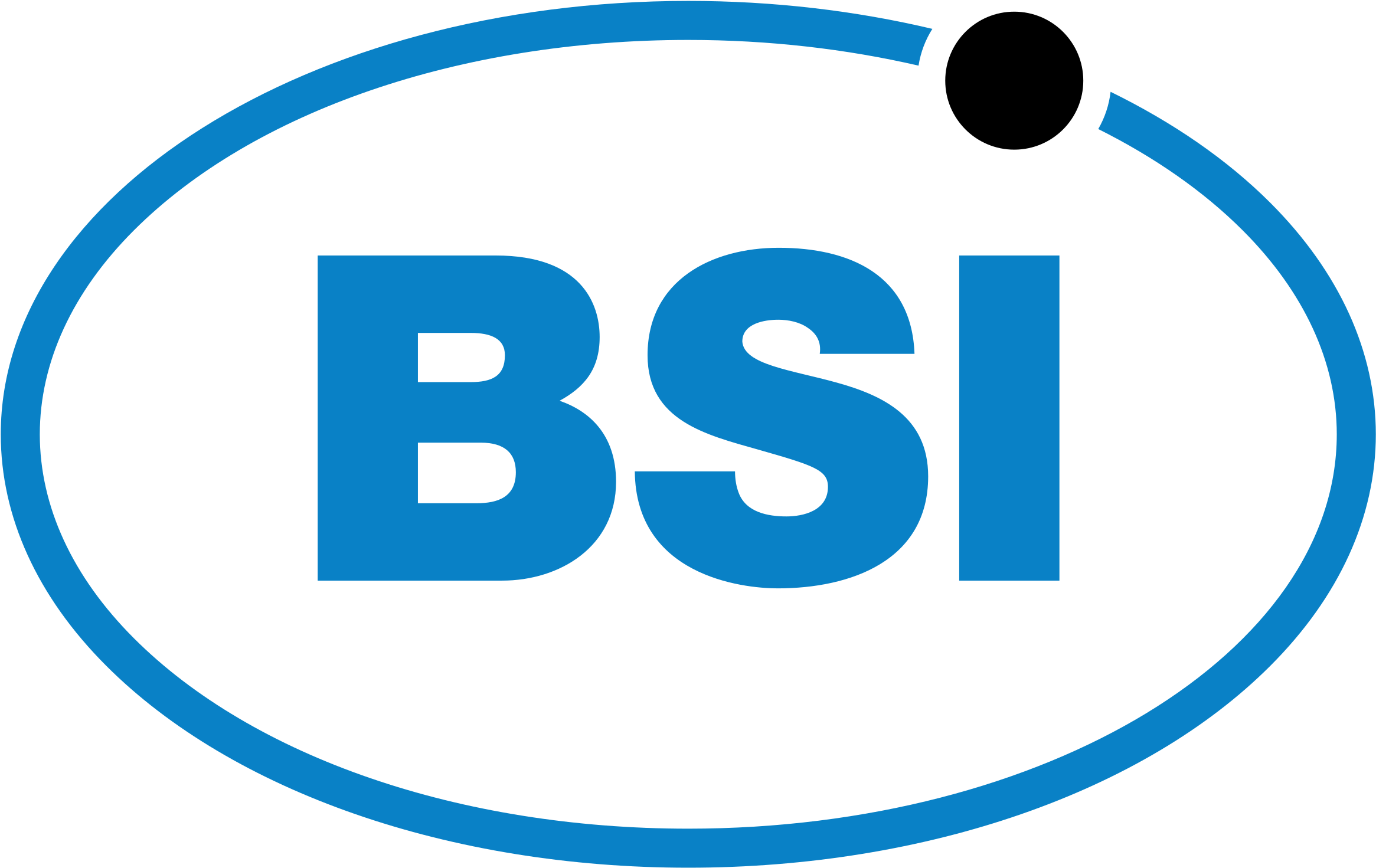 Bsi 05 Logo Png Transparent - Bsi (2400x2400), Png Download