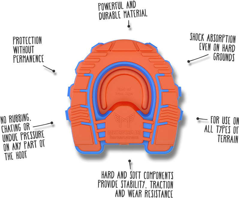 Vector Horserunners Hoof Stuff Pinterest Horse - Diagram (900x674), Png Download