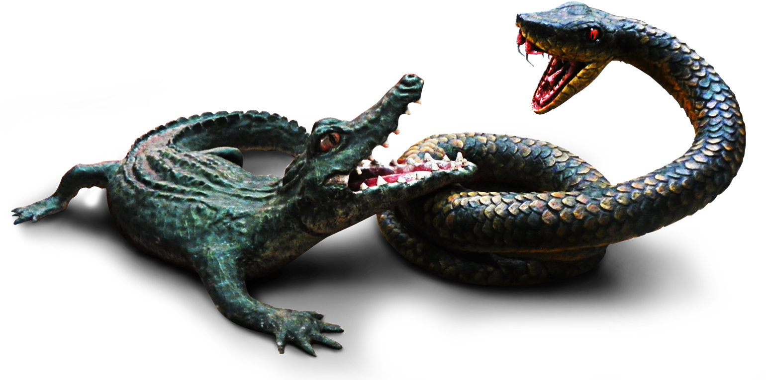 Aligator And Snake Prop - Dragon (1539x775), Png Download