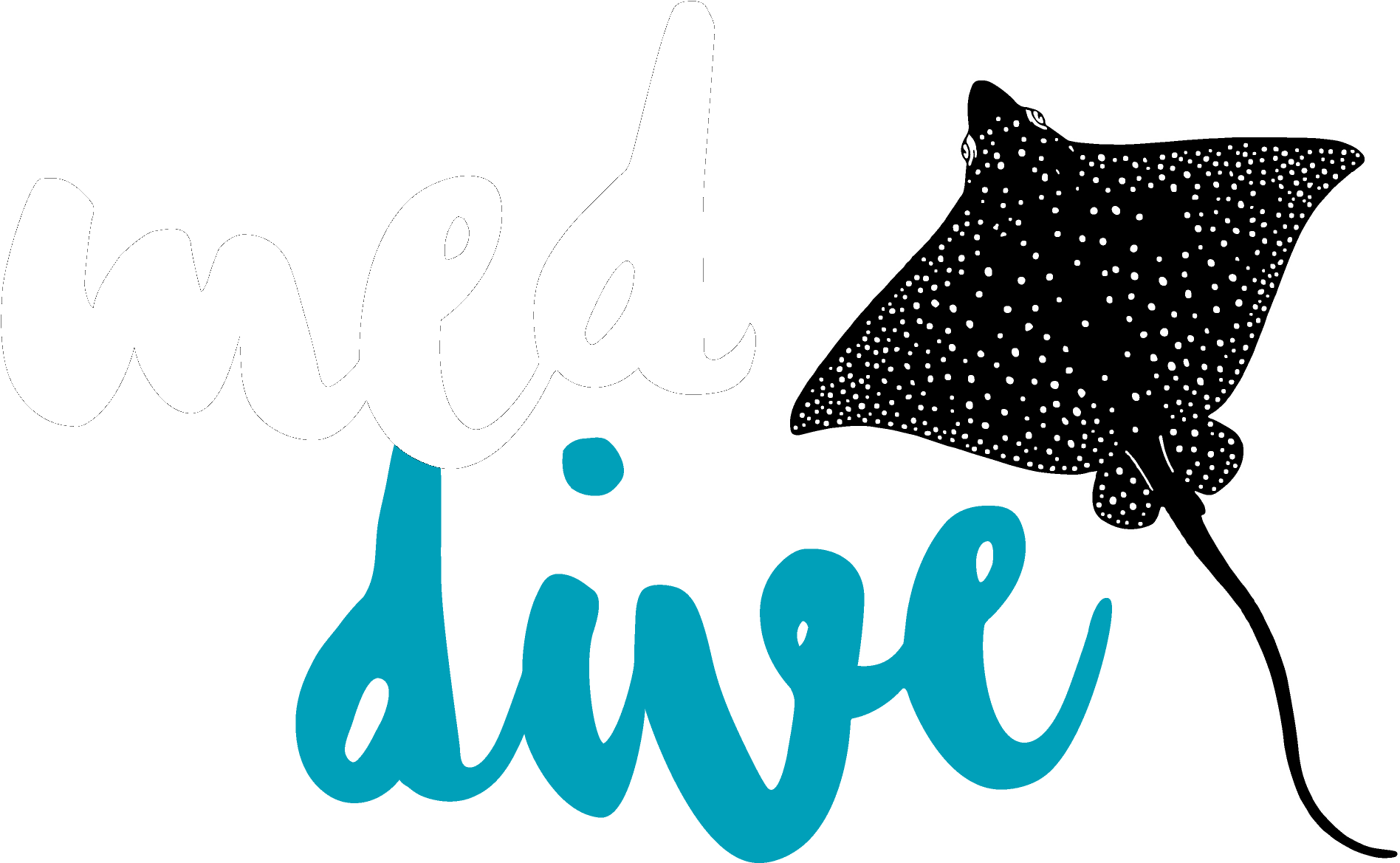 Envíanos Un E-mail (1914x1220), Png Download