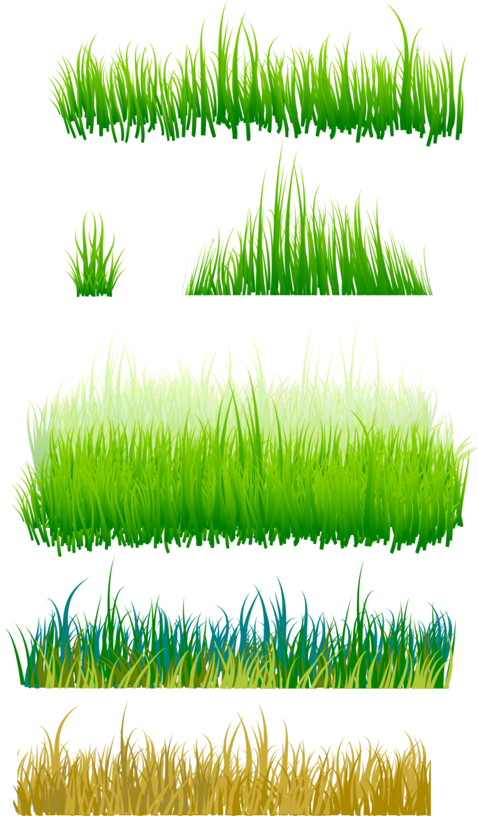 Grama Imagens Png - Grass (684x1167), Png Download