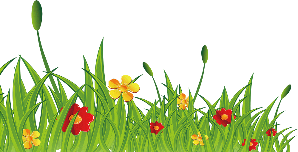 Grama Flores Silvestres Png - Desenho De Arbustos Png (1000x1000), Png Download