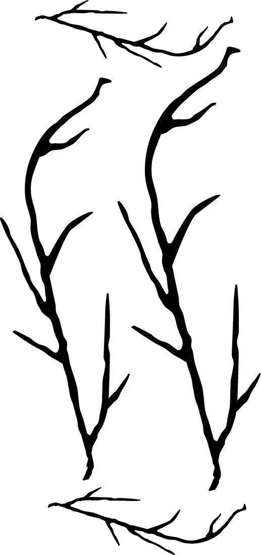 Vinilo Decorativo Rama2 - Silhouette (517x1100), Png Download