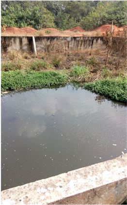 Erosion Control Works At University Of Benin - Reflection (903x422), Png Download