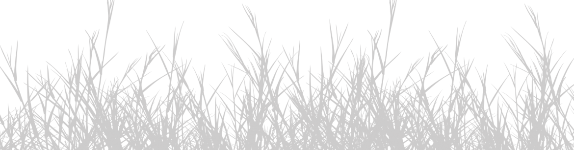 Slide 1 Grama Cz - Grass (1170x307), Png Download