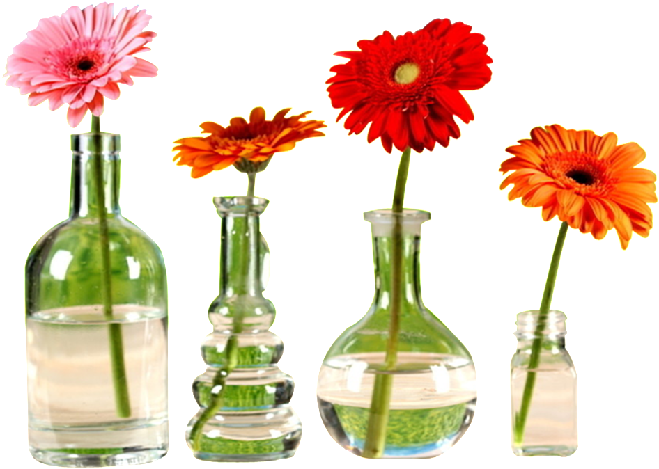 This Graphics Is Beautiful Flower Arrangement Png Chrysanthemum - Barberton Daisy (1024x1024), Png Download