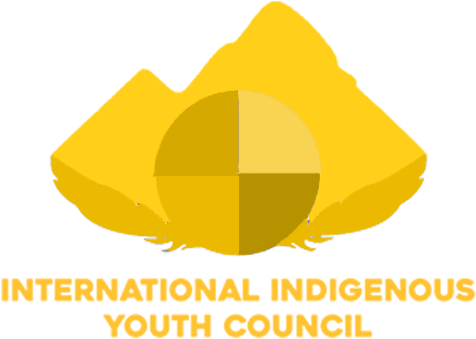 Iiyc - Native Americans In The United States (1000x1000), Png Download