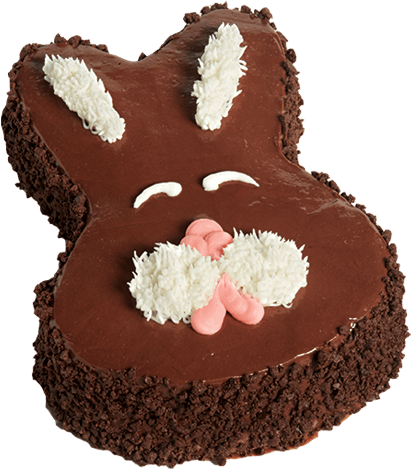 Chocolate Bunny Ice Cream Cake - Chocolate Bunny Birthday Cake (600x600), Png Download