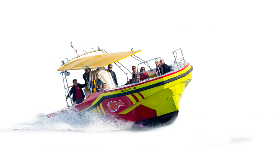 Experiencia Nemo - Costa Brava Glass Bottom Boat (1082x539), Png Download