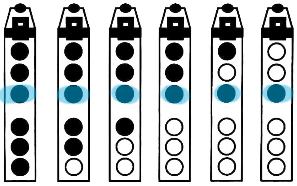A C D E G - Flute (979x615), Png Download