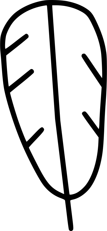Turkey Eagle Feather Native American Comments - Portable Network Graphics (456x980), Png Download