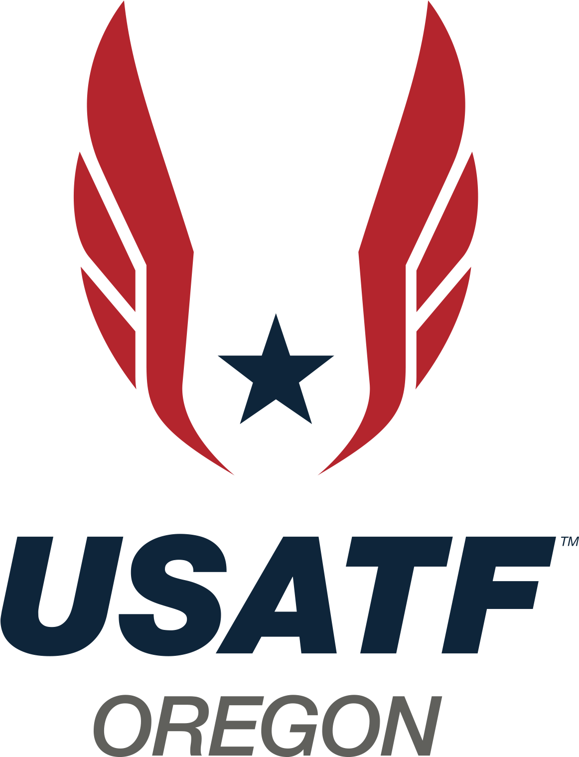Usatf Members Receive An Array Of Member Benefits, - Kt Tape Kt Pro Tape Blue Elastic Kinesiology Therapeutic (2100x1800), Png Download
