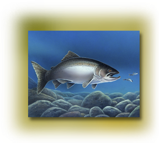 Gamefish Art - Trout (400x300), Png Download