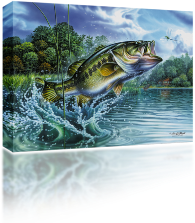 Download Airborne Bass Bass Fish Jumping Full Size Png Image Pngkit