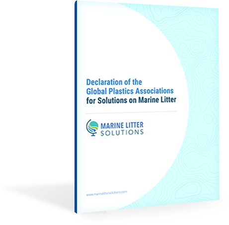 Global Declaration - Declaration (536x546), Png Download