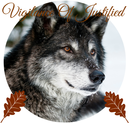 668152 Photo Of Wolf Face - Beautiful Grey Wolf Pillow Case (515x479), Png Download