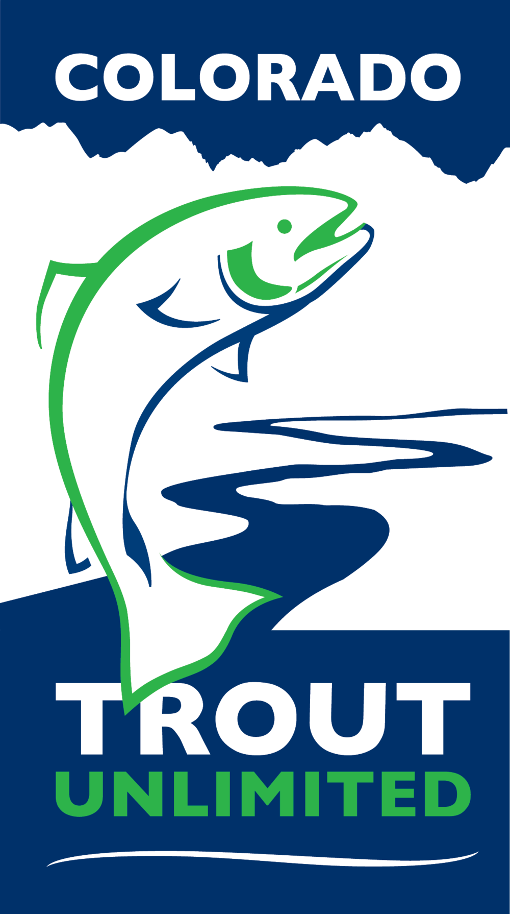 Trout Png (1000x1790), Png Download