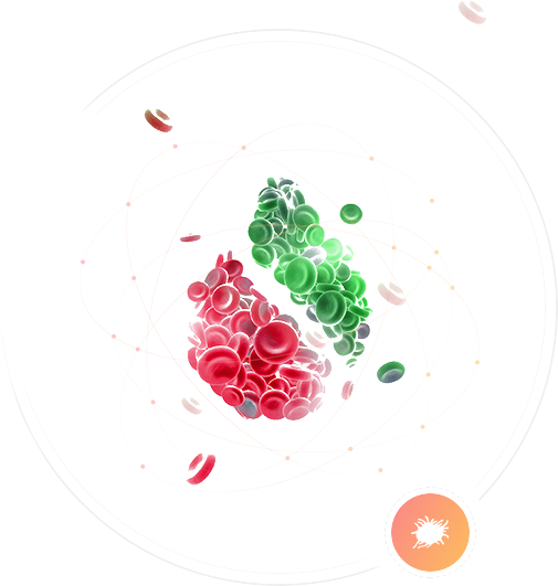 Gene Detection Of Cardiovascular Disease - Web Design (505x531), Png Download