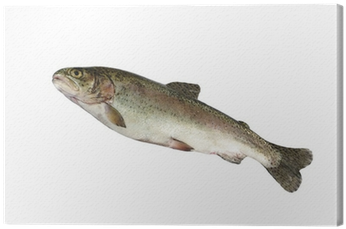 Stock Photography (400x400), Png Download